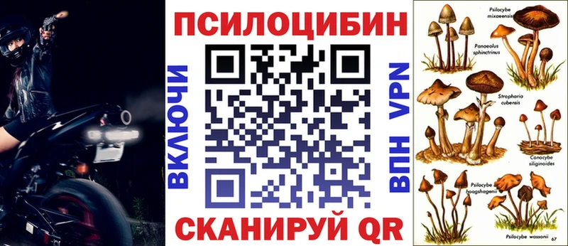 Псилоцибиновые грибы Cubensis  Калязин 
